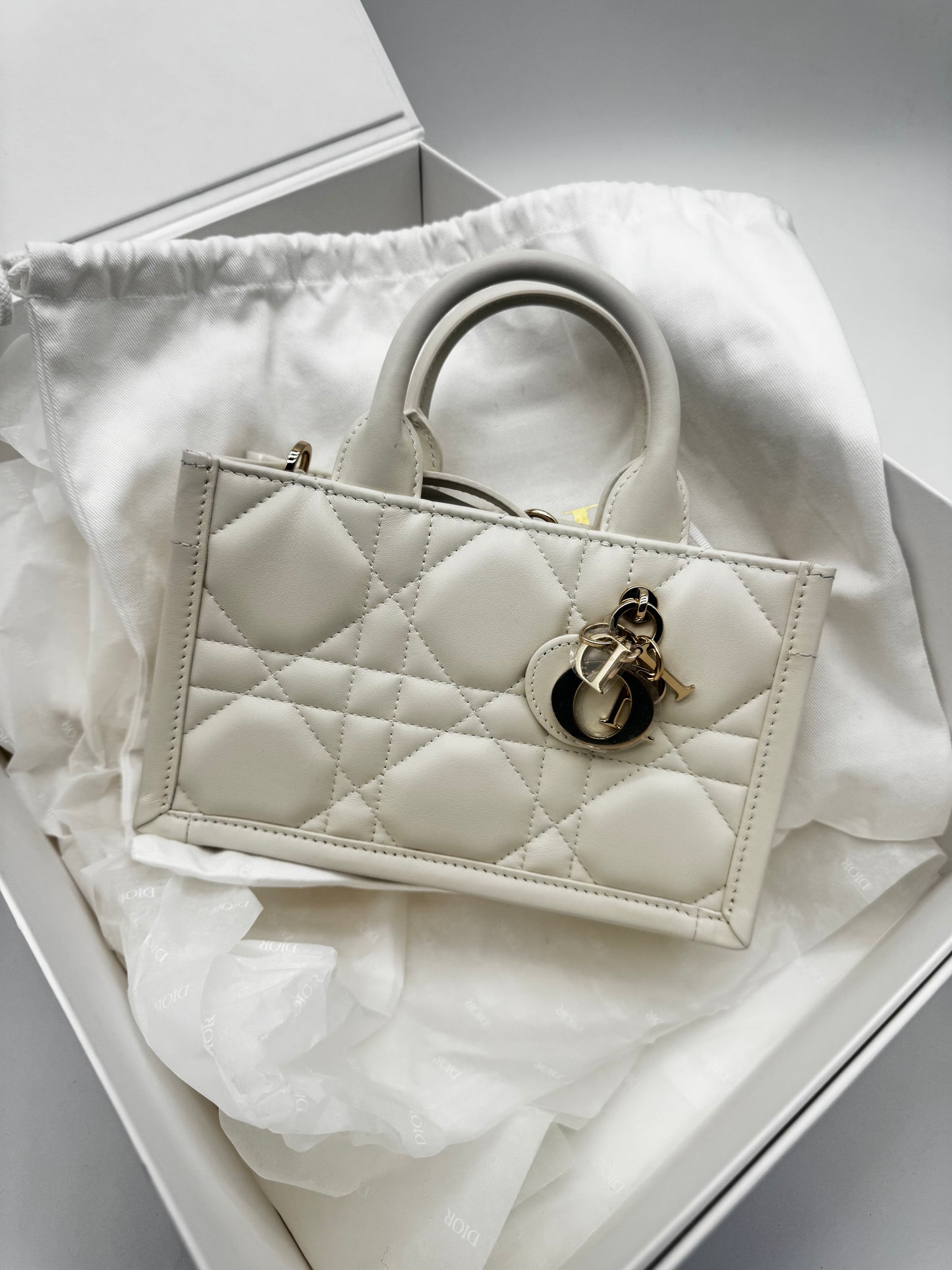 MINI DIOR LAMSKIN TOTE (NEW) More photos coming!