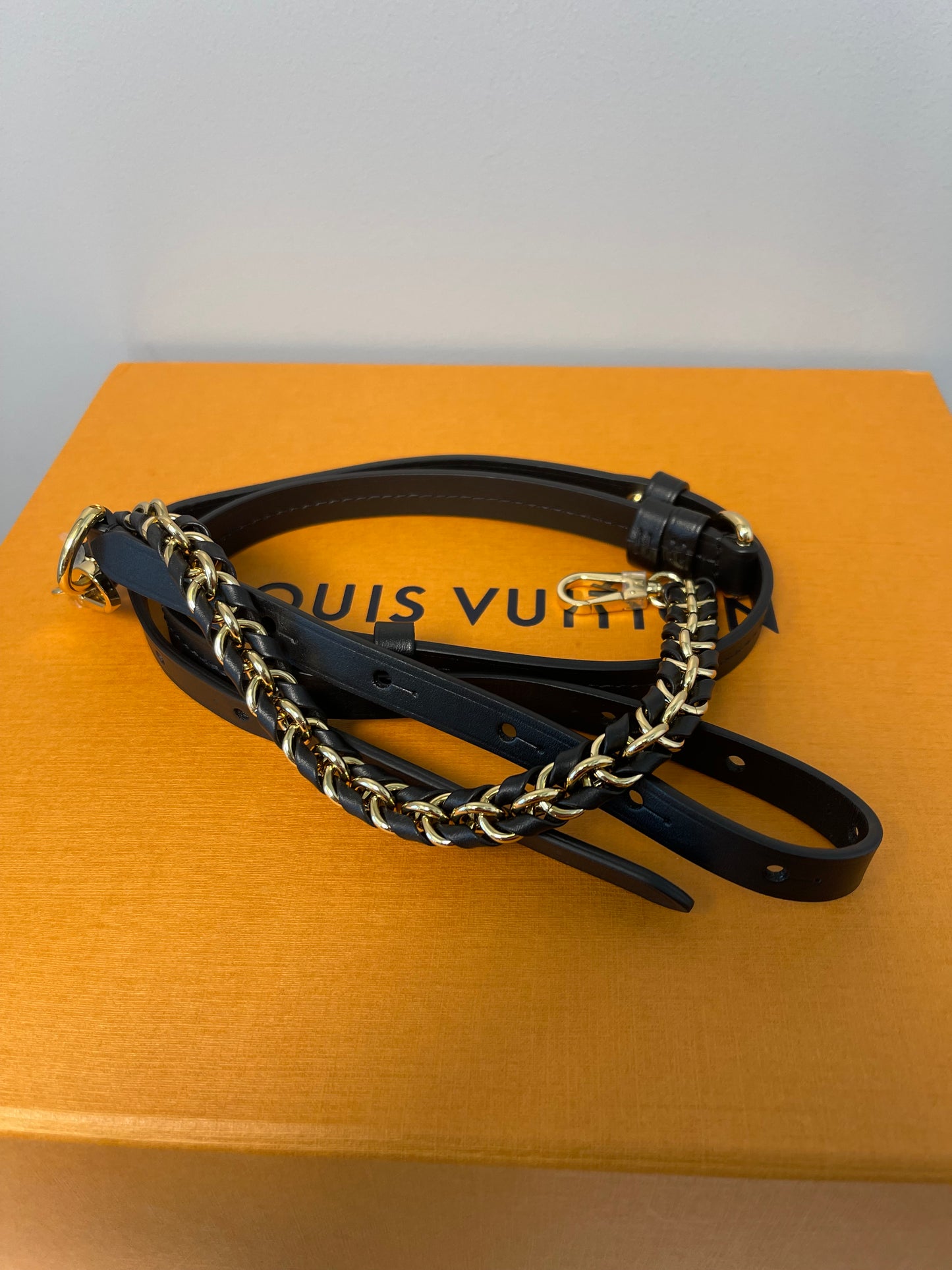 LOUIS VUITTON REVERSE MONOGRAM BACKPACK