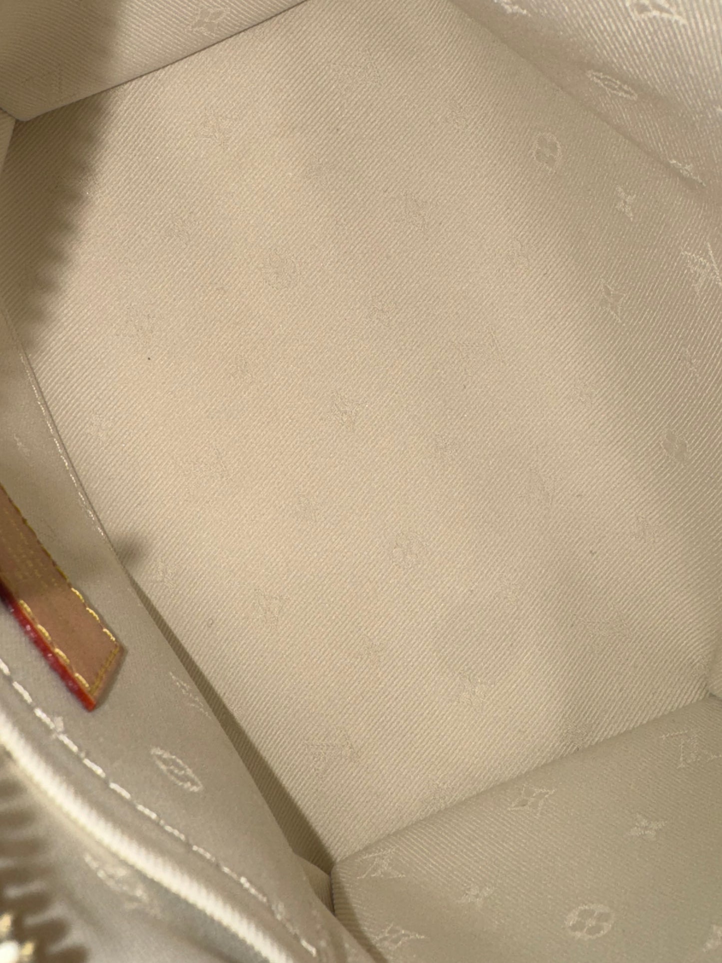 Louis Vuitton Speedy 20