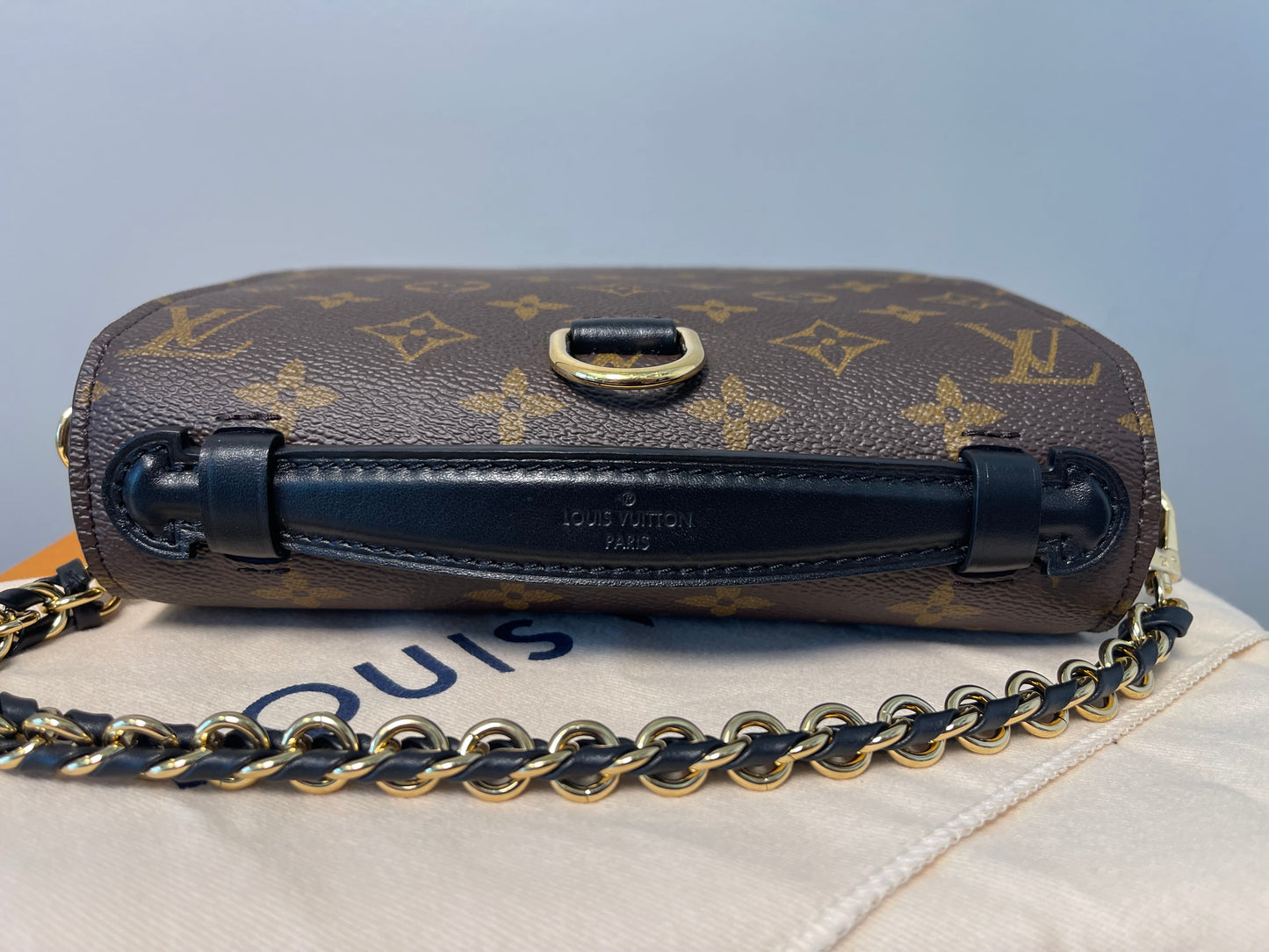 LOUIS VUITTON REVERSE MONOGRAM BACKPACK