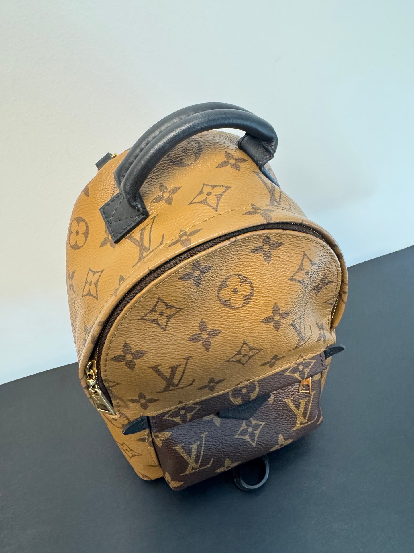 PALM SPRINGS MINI REVERSE MONOGRAM