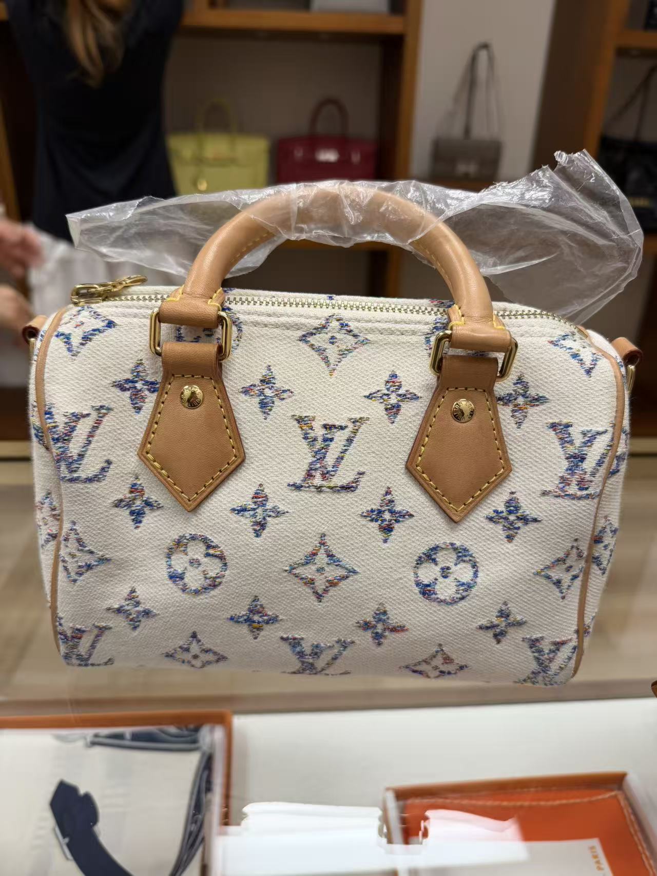 Louis Vuitton Speedy 20