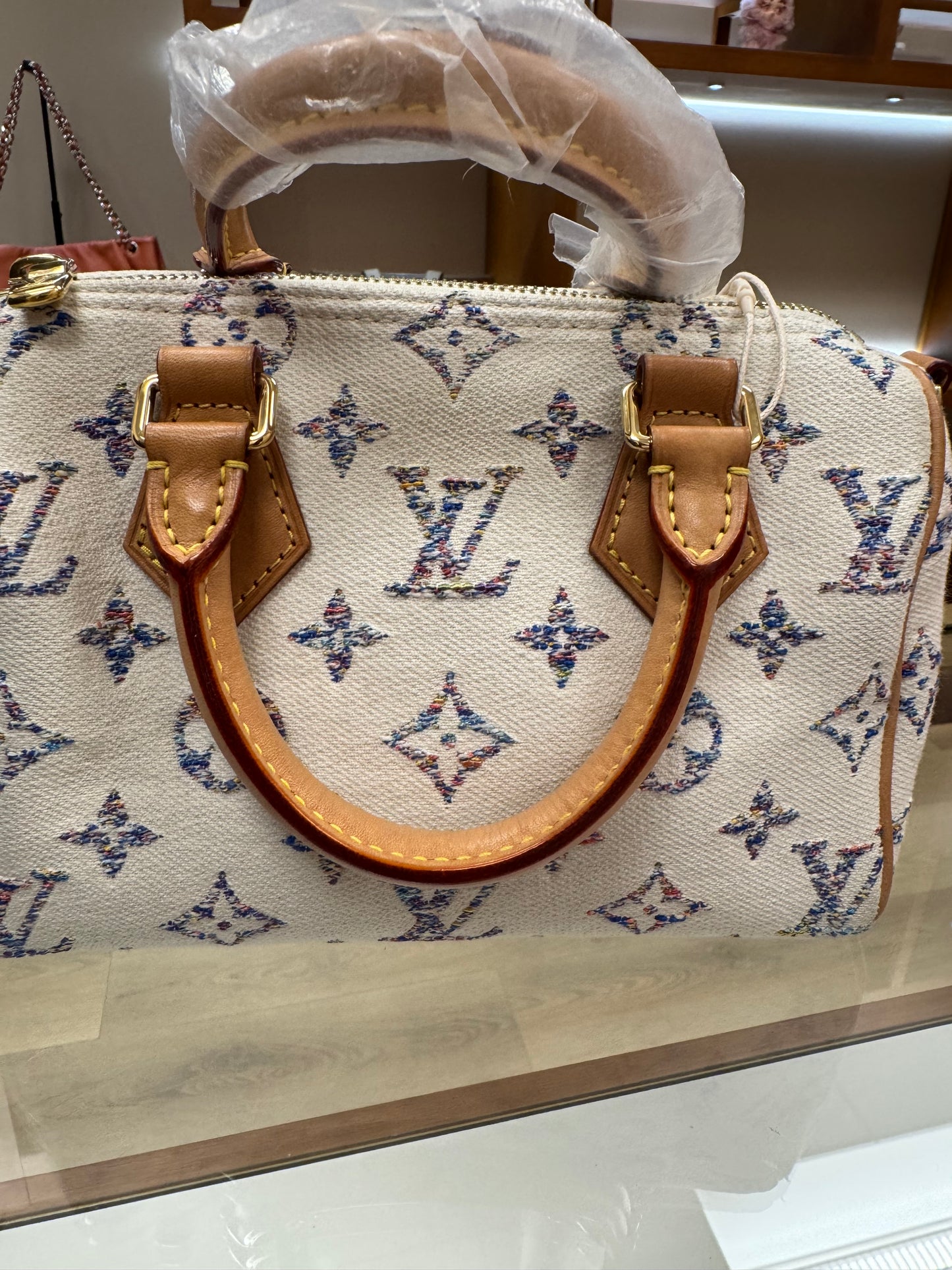 Louis Vuitton Speedy 20