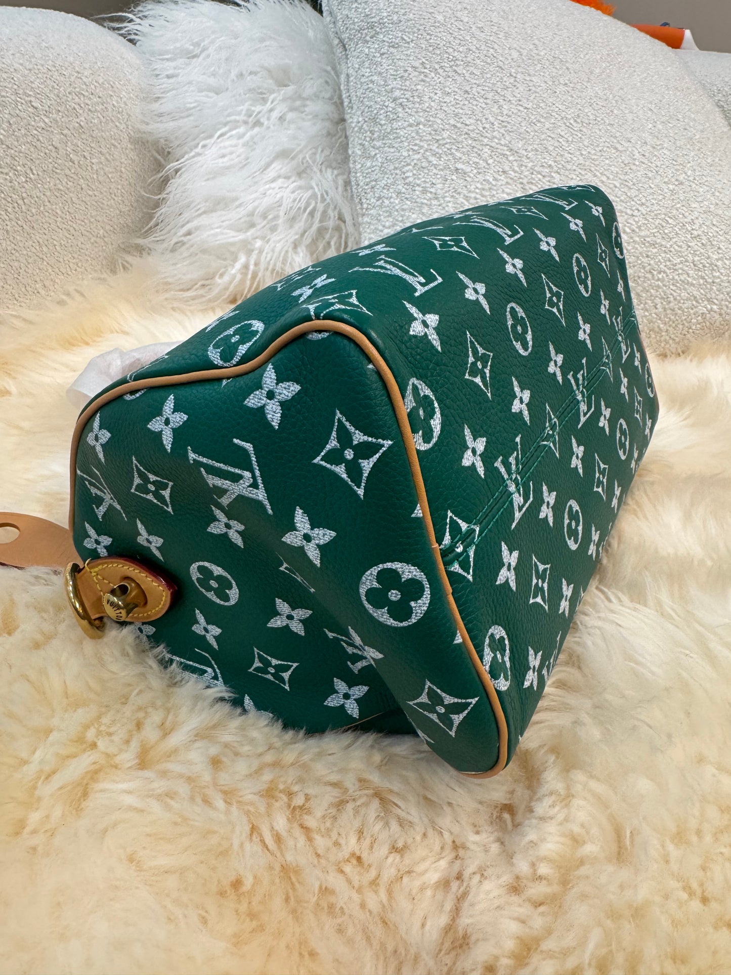 Louis Vuitton Speedy 25 Green P9