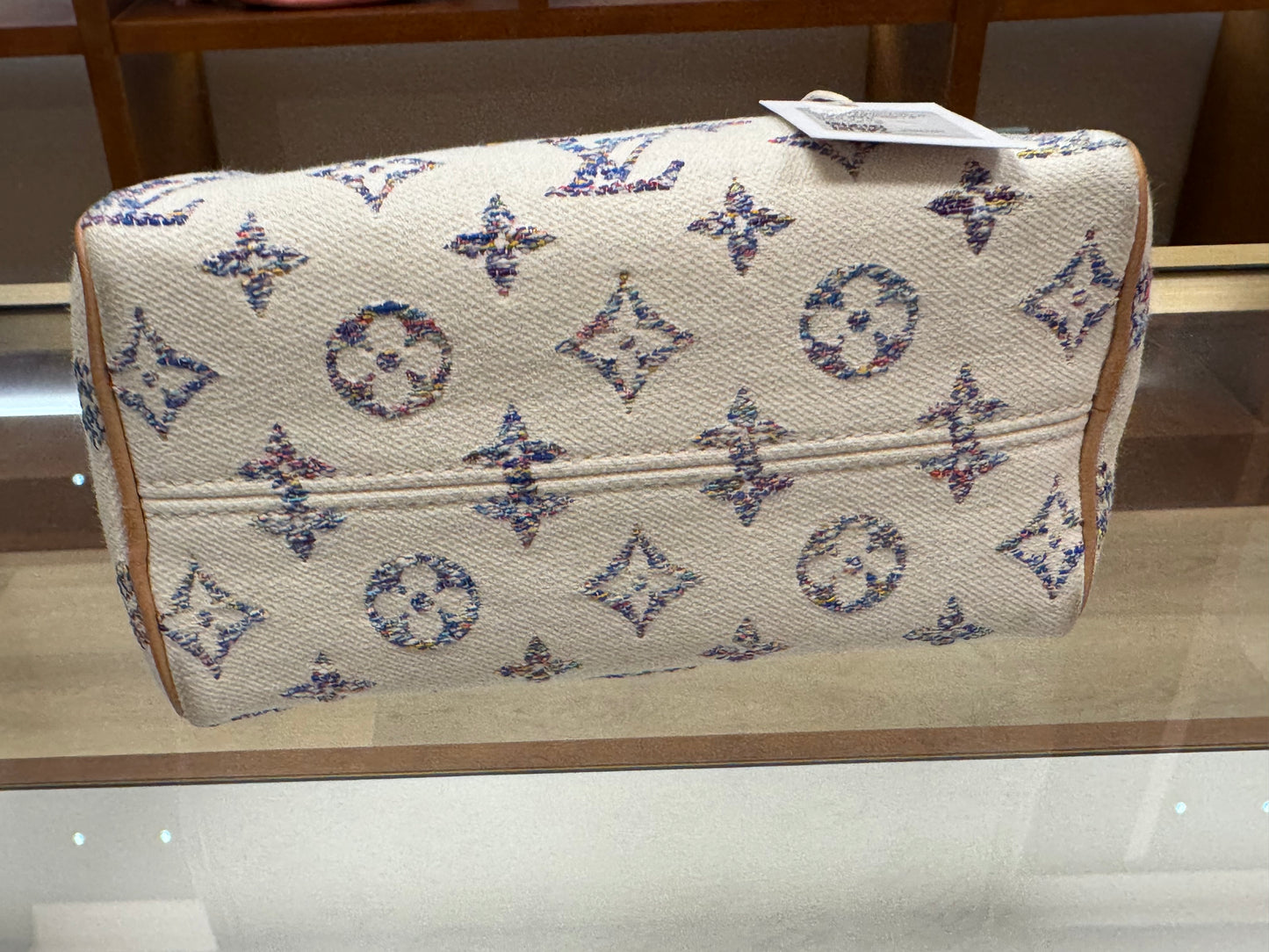 Louis Vuitton Speedy 20