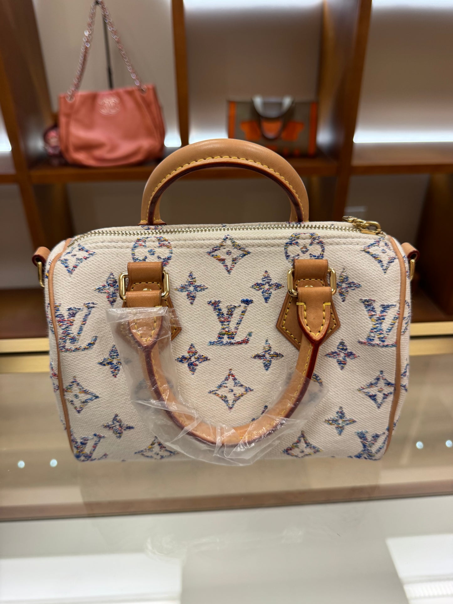 Louis Vuitton Speedy 20