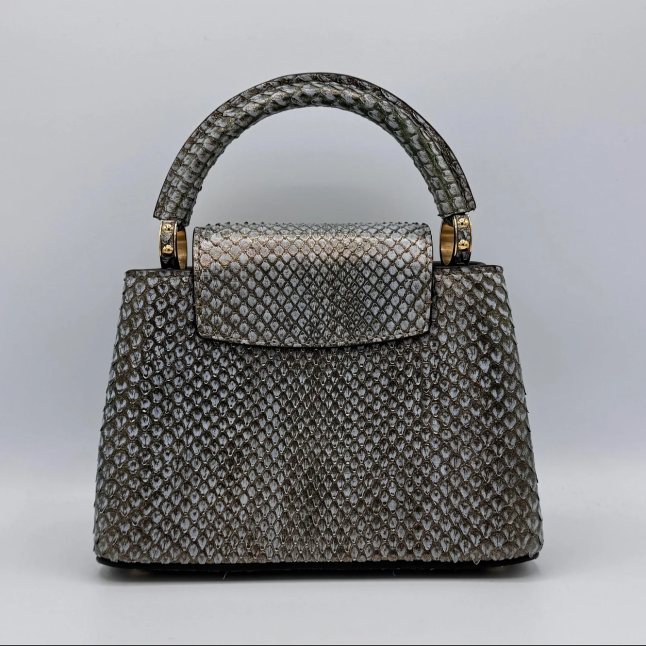 LOUIS VUITTON PYTHON METALLIC CAPPUCINE BB (Full Set!)