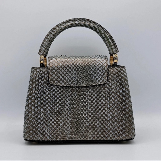 LOUIS VUITTON PYTHON METALLIC CAPPUCINE BB (Full Set!)