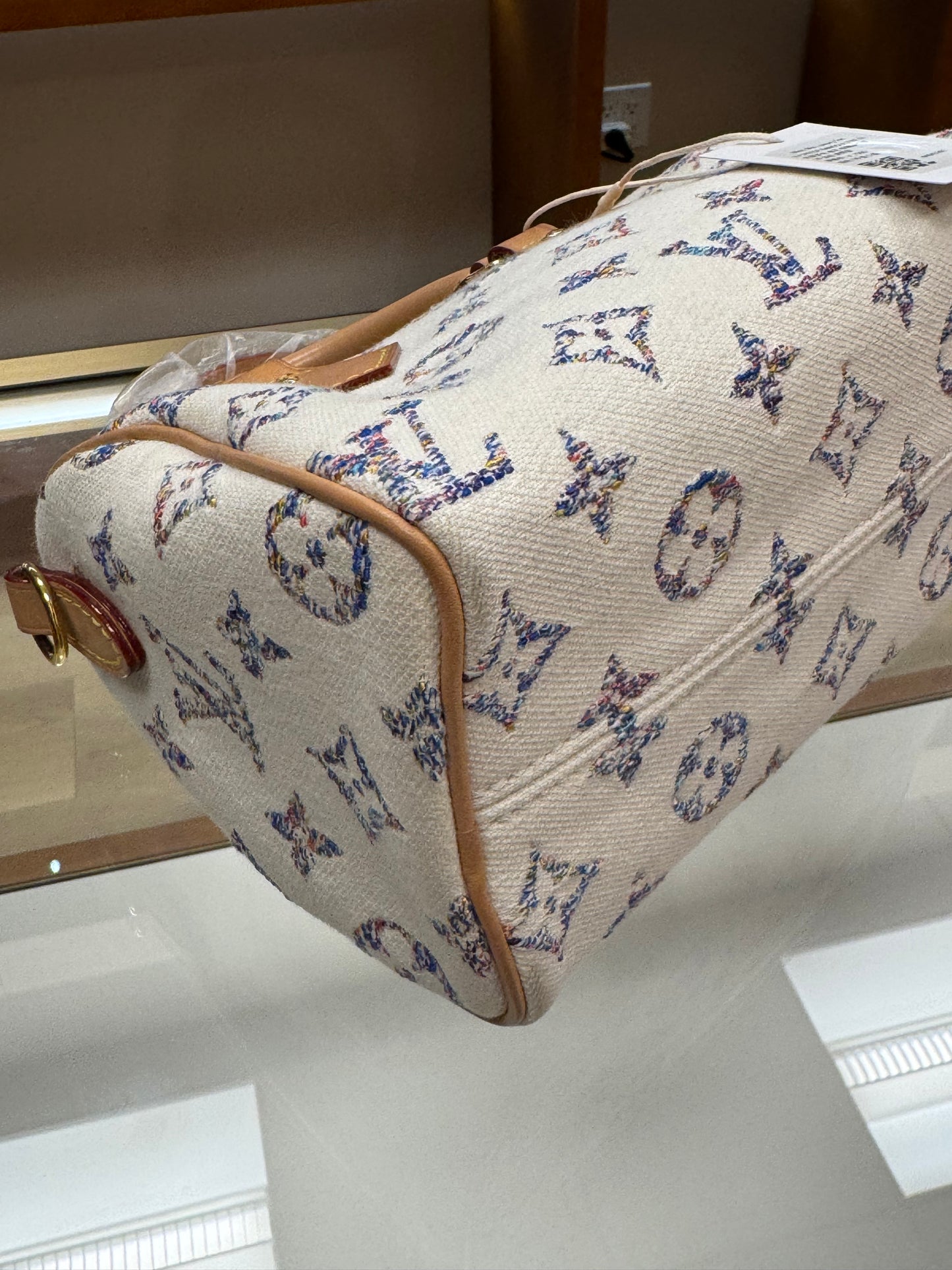 Louis Vuitton Speedy 20