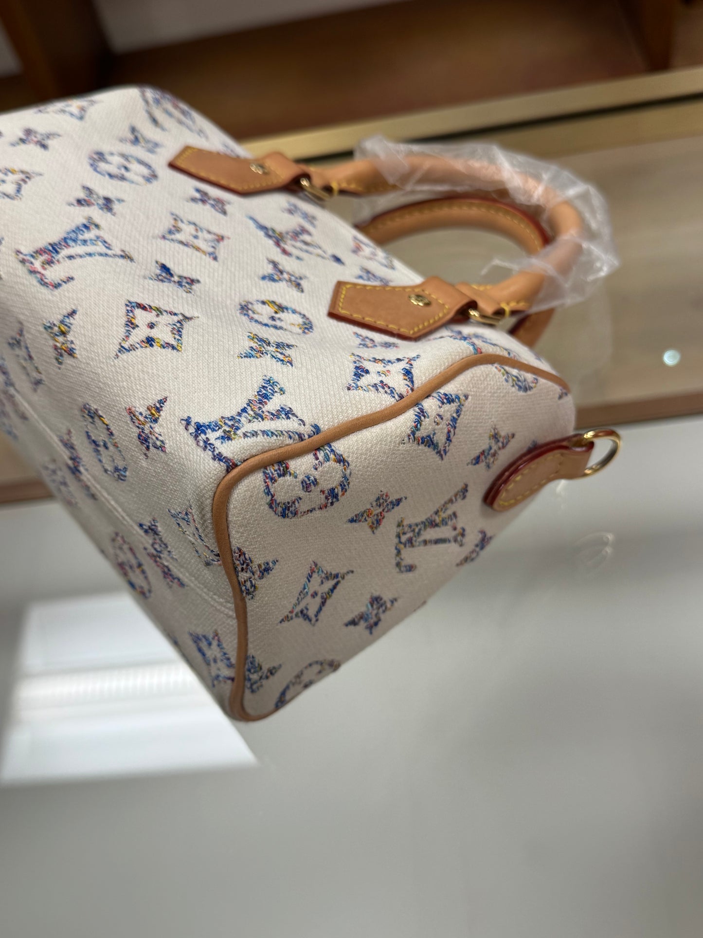 Louis Vuitton Speedy 20