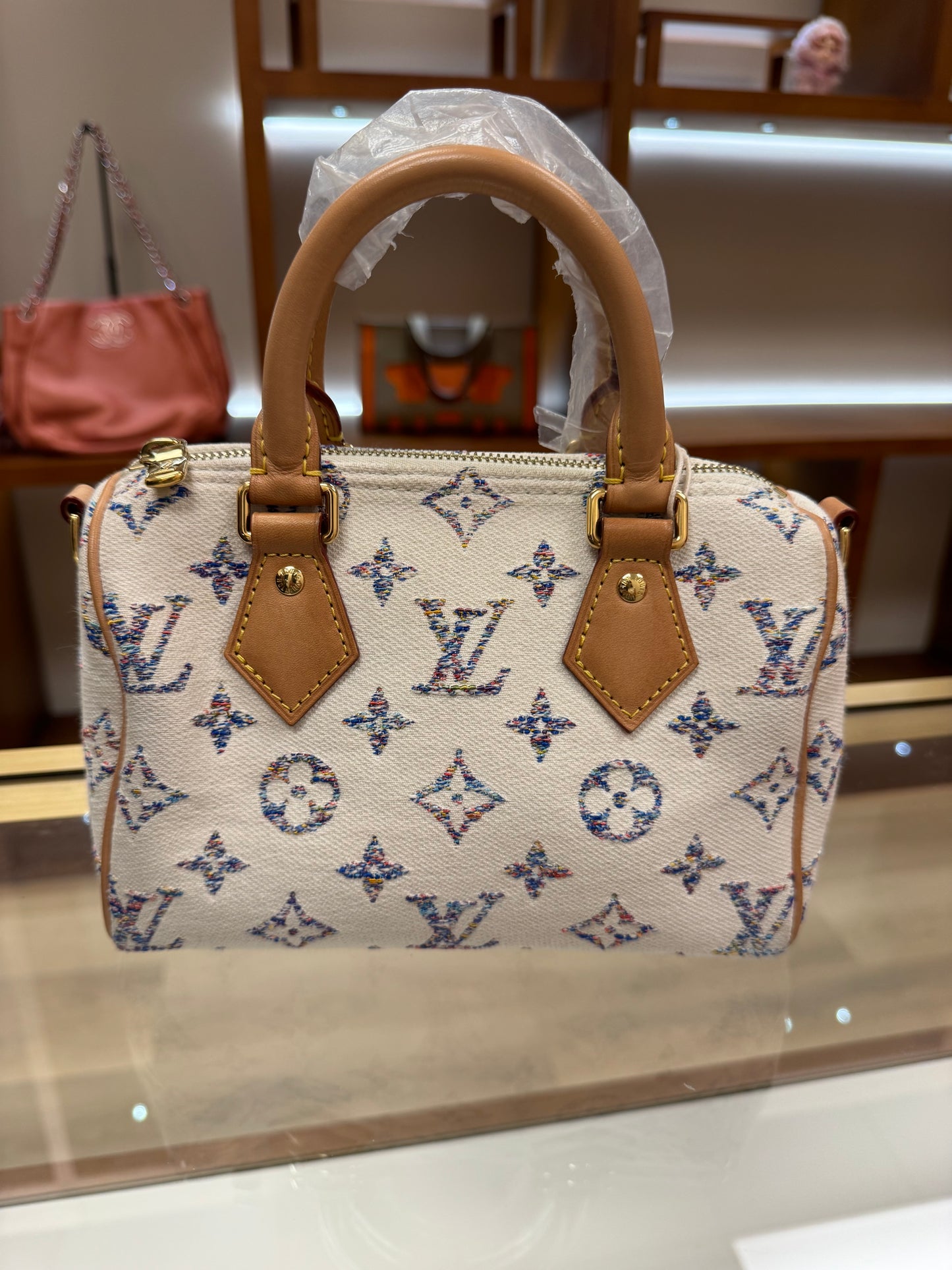 Louis Vuitton Speedy 20
