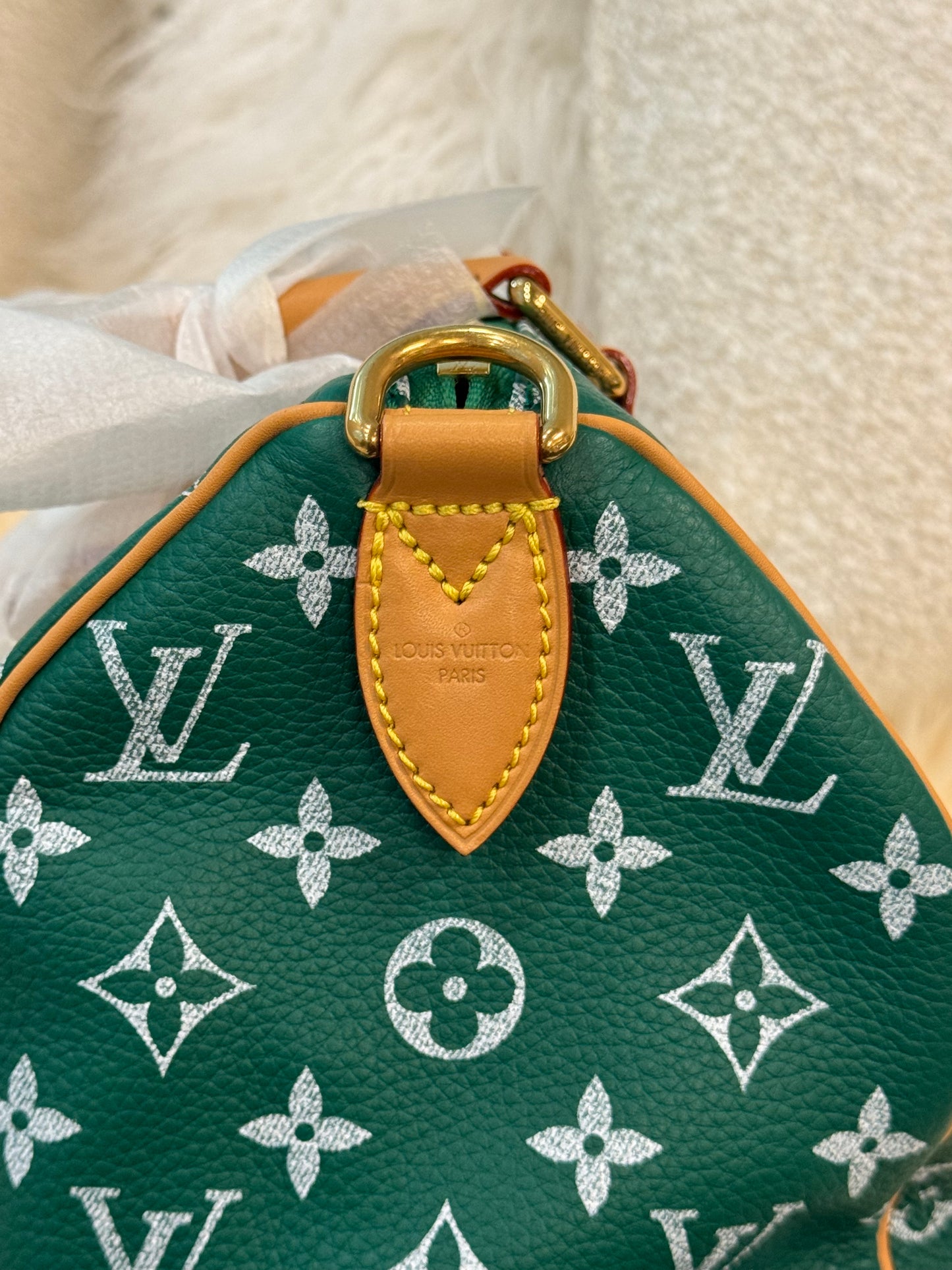 Louis Vuitton Speedy 25 Green P9