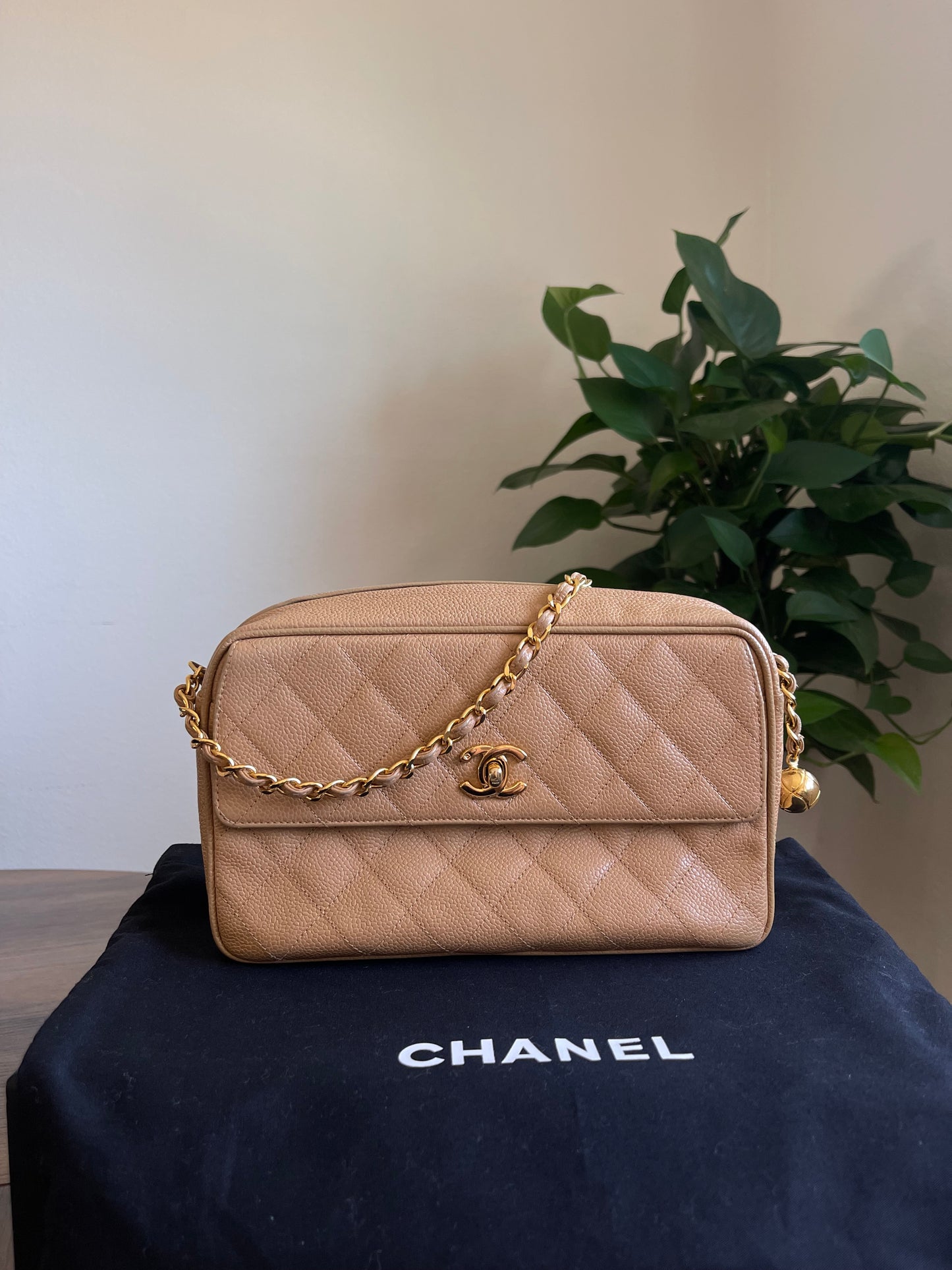 CHANEL BEIGE CAMERA BAG