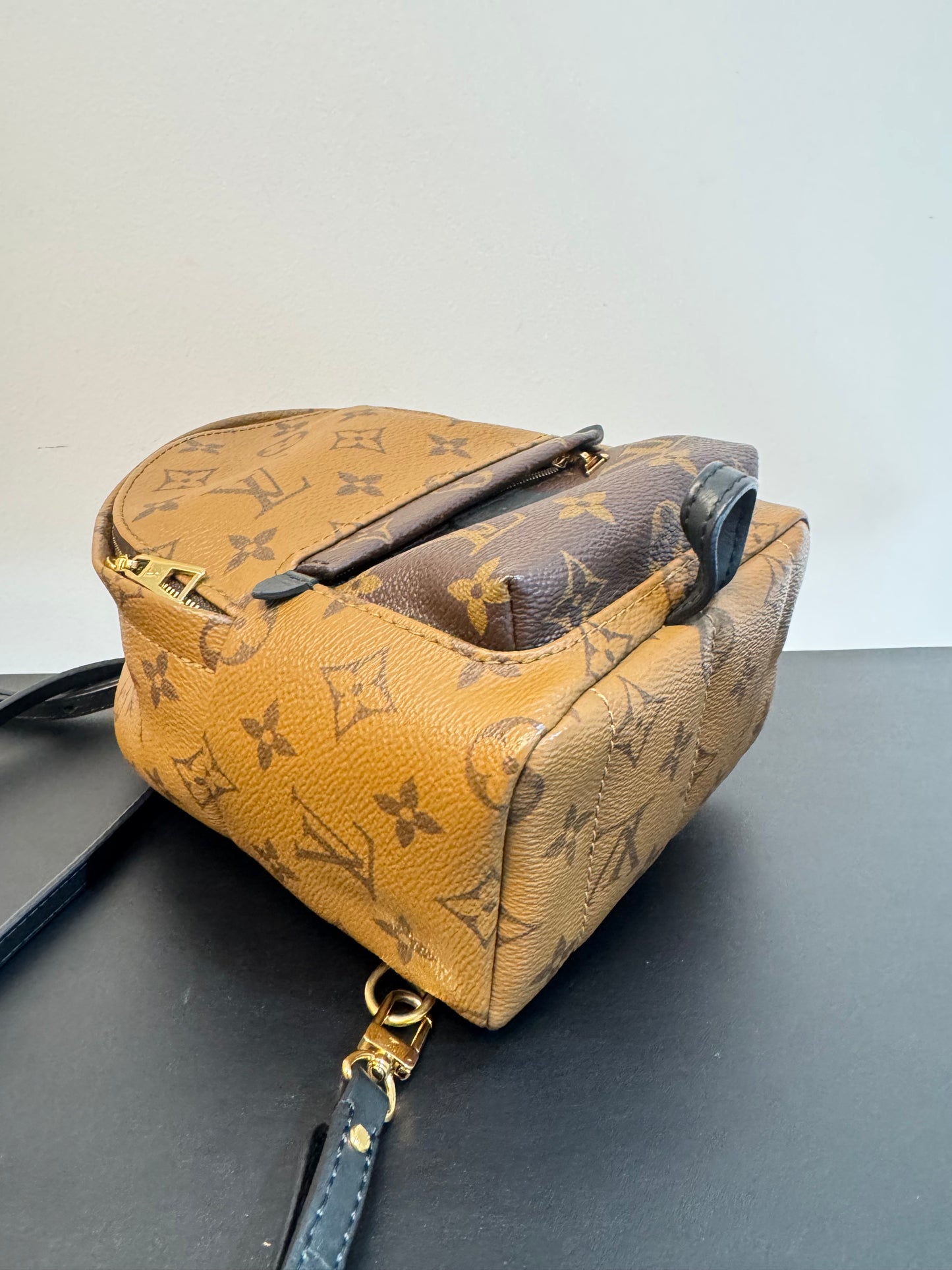 PALM SPRINGS MINI REVERSE MONOGRAM