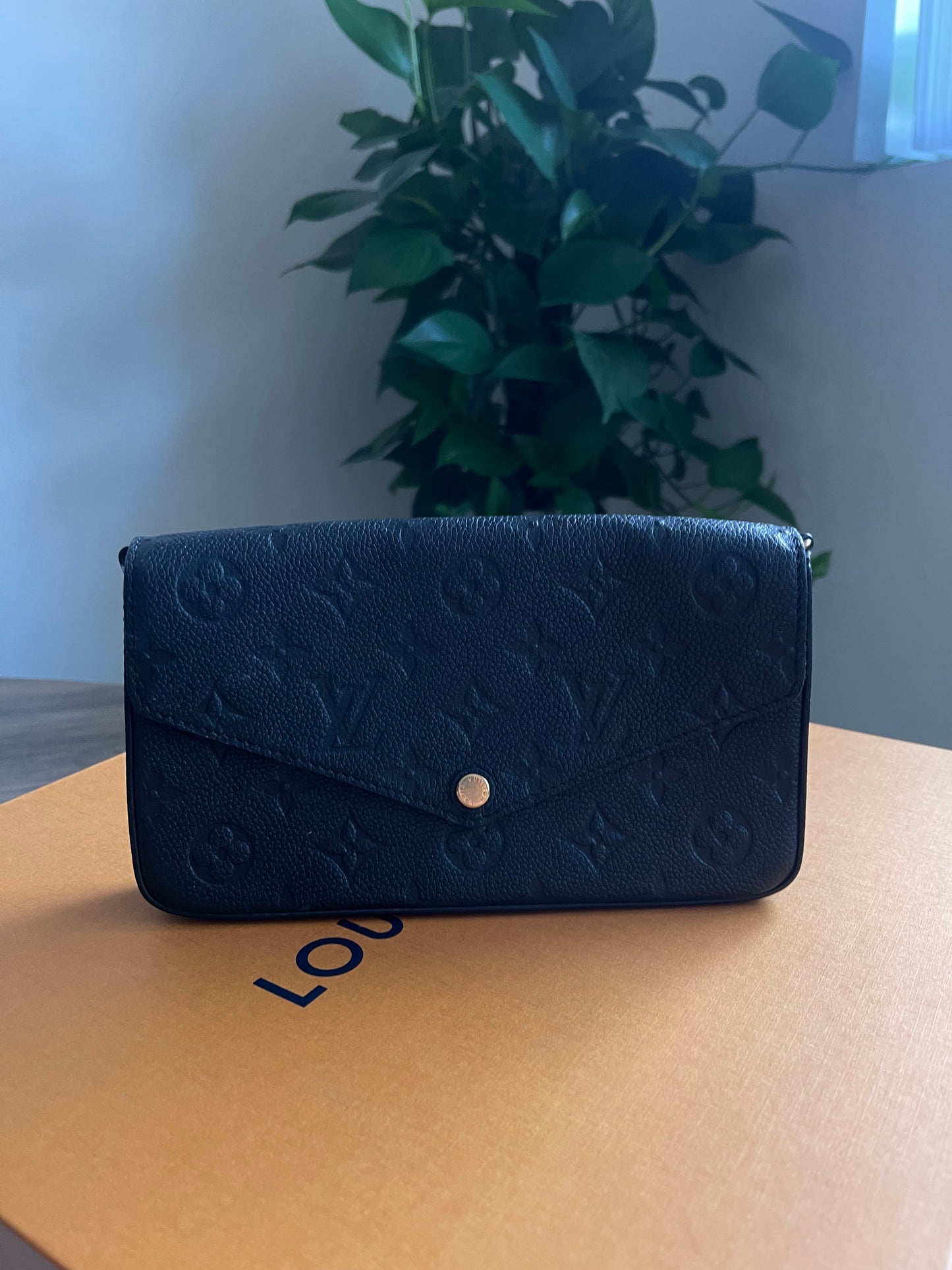 BLACK LOUIS VUITTON FELICIE ONE MISSING INSERT