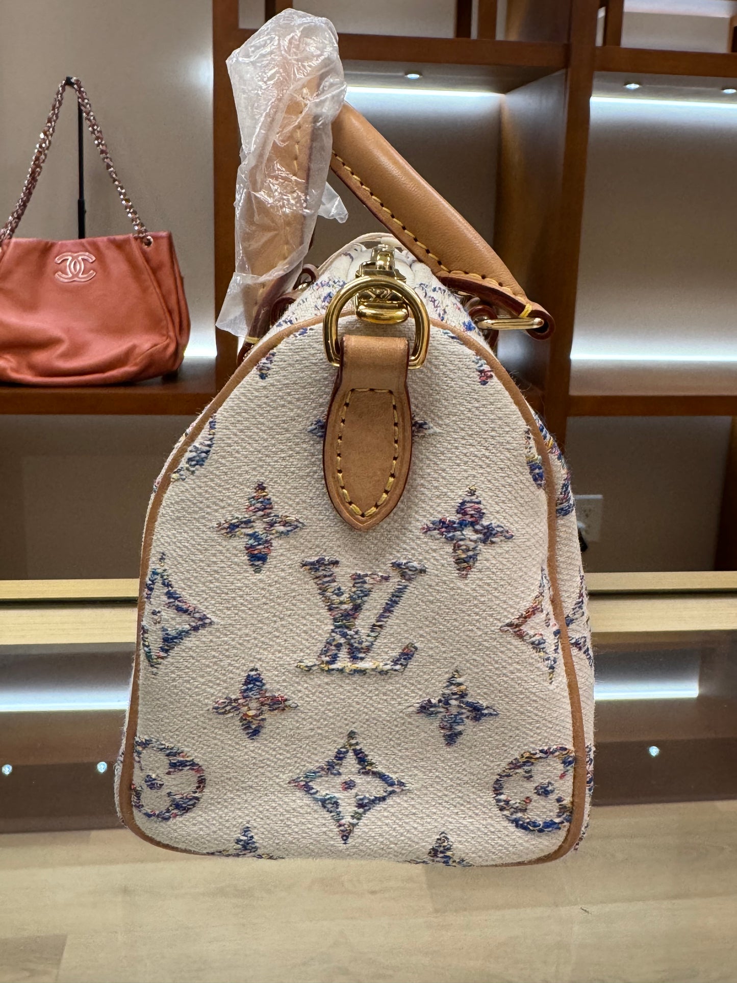 Louis Vuitton Speedy 20