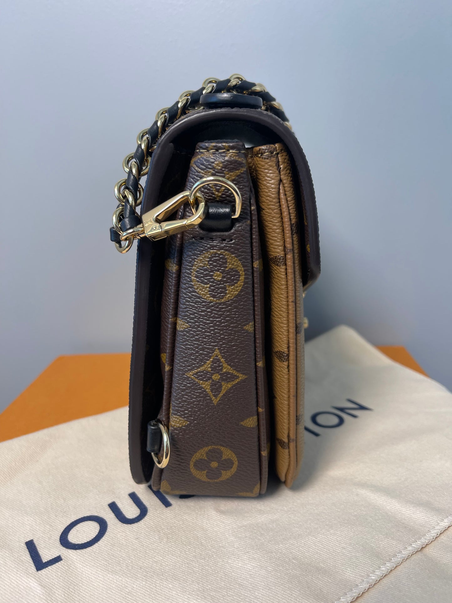 LOUIS VUITTON REVERSE MONOGRAM BACKPACK