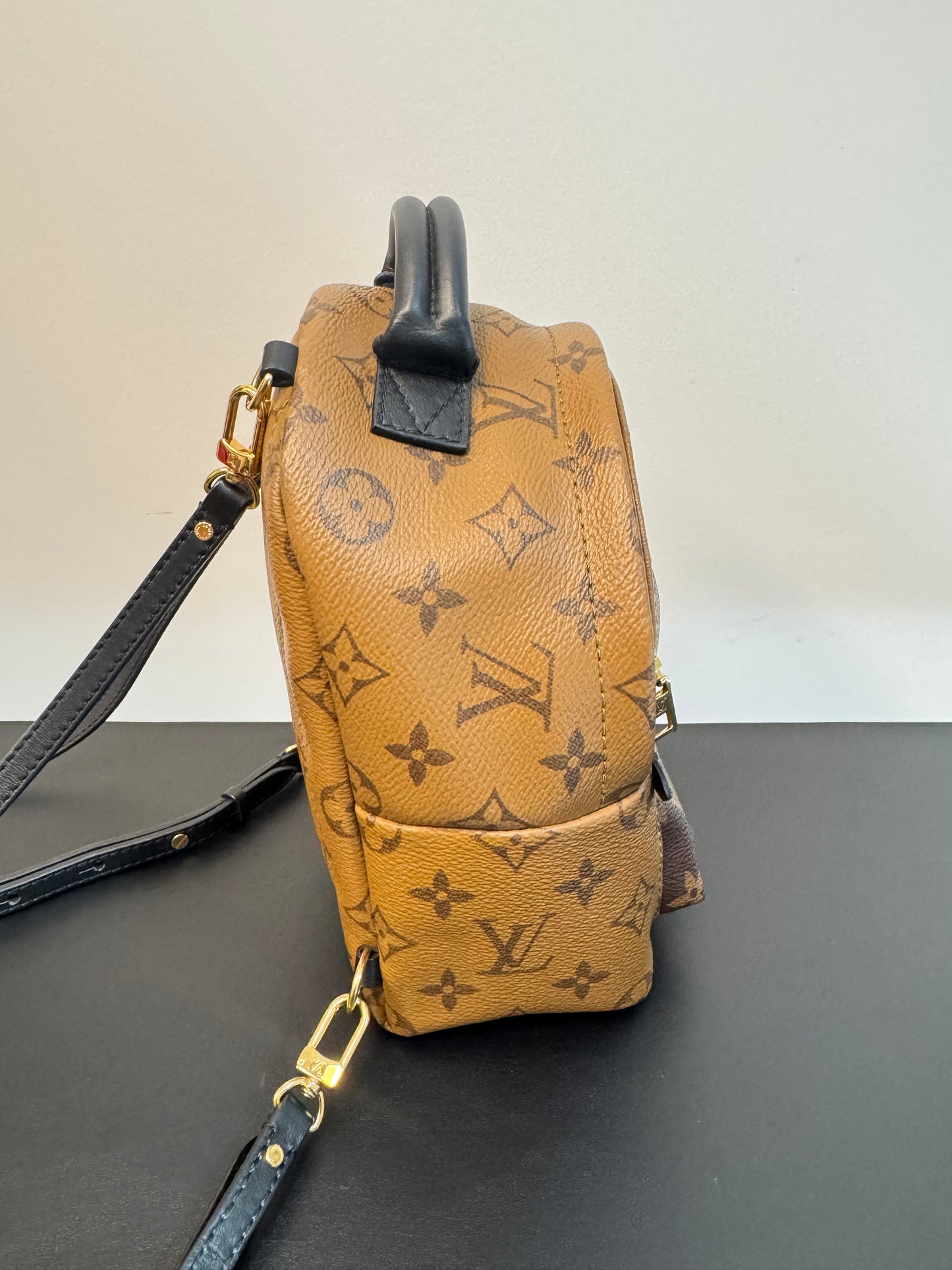 PALM SPRINGS MINI REVERSE MONOGRAM