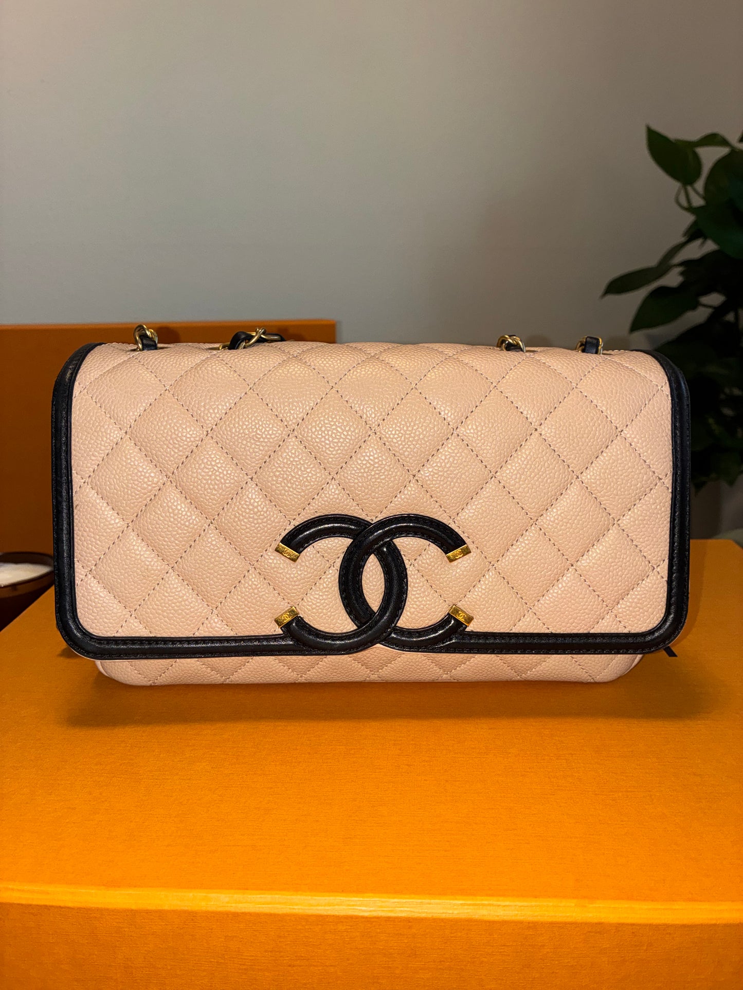 CHANEL