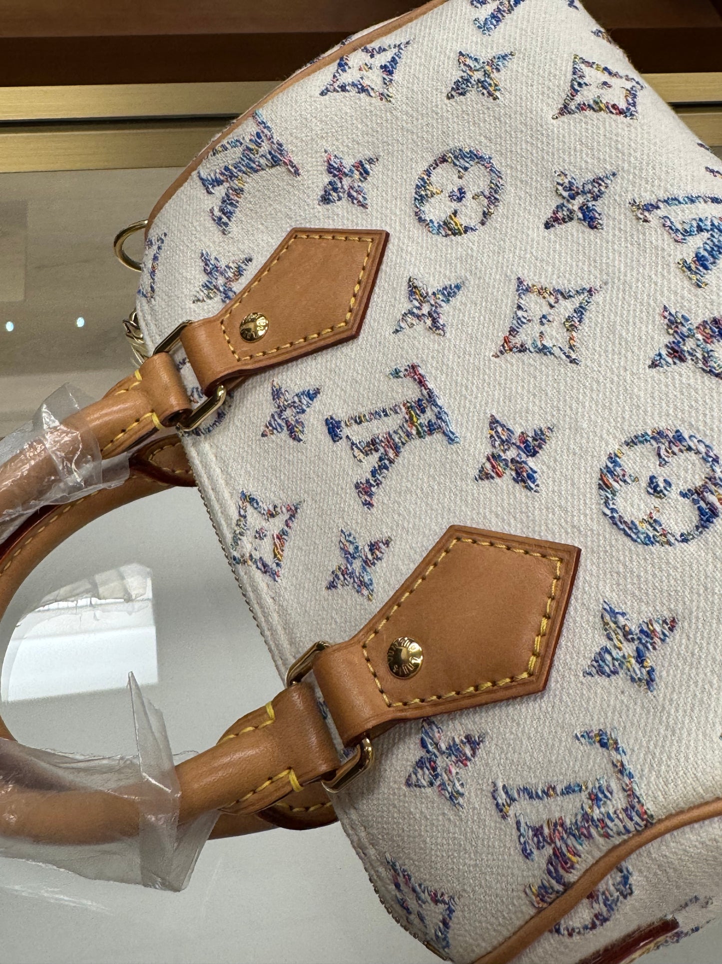 Louis Vuitton Speedy 20