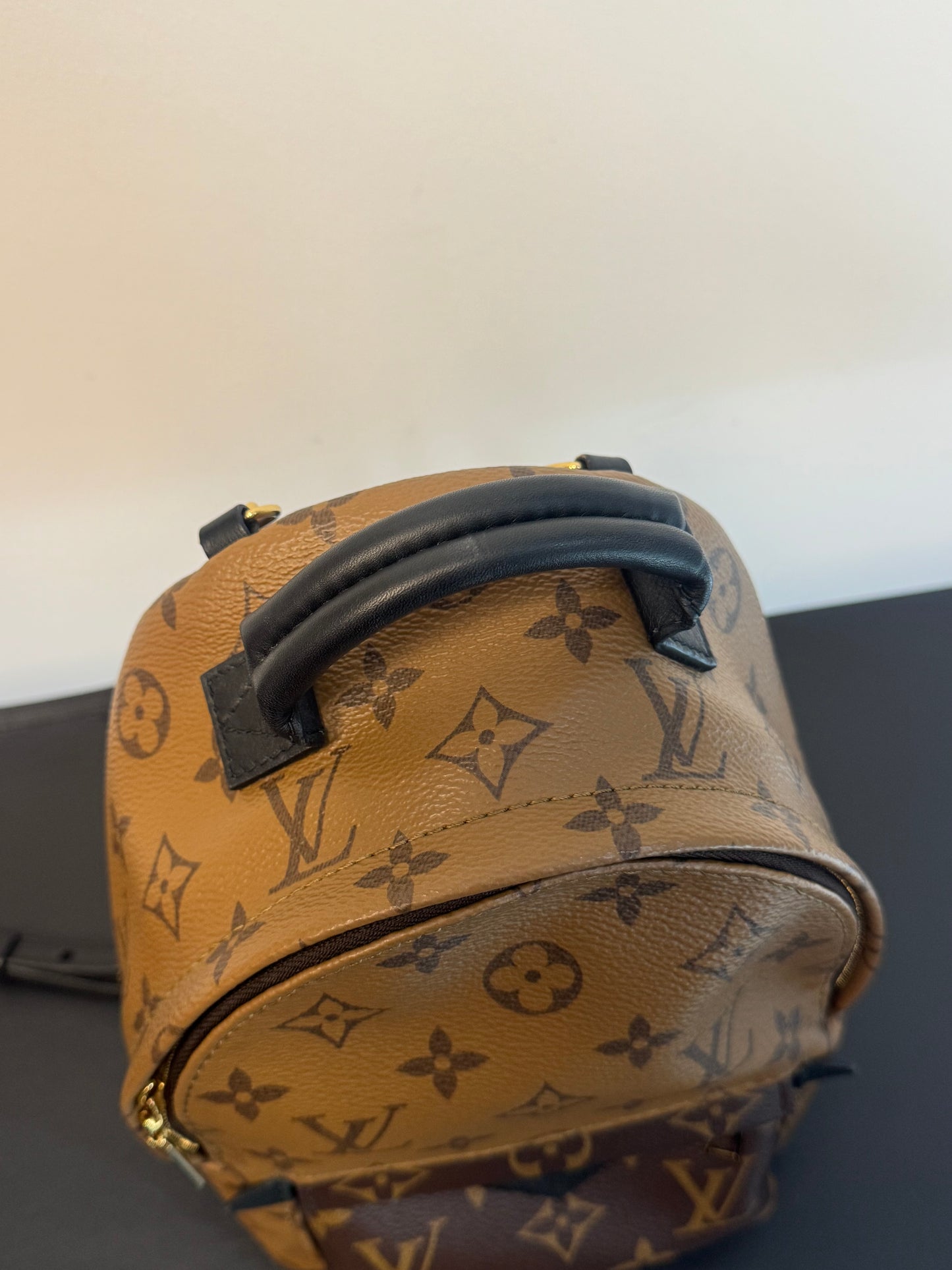 PALM SPRINGS MINI REVERSE MONOGRAM