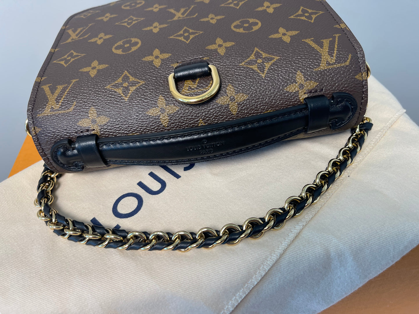 LOUIS VUITTON REVERSE MONOGRAM BACKPACK