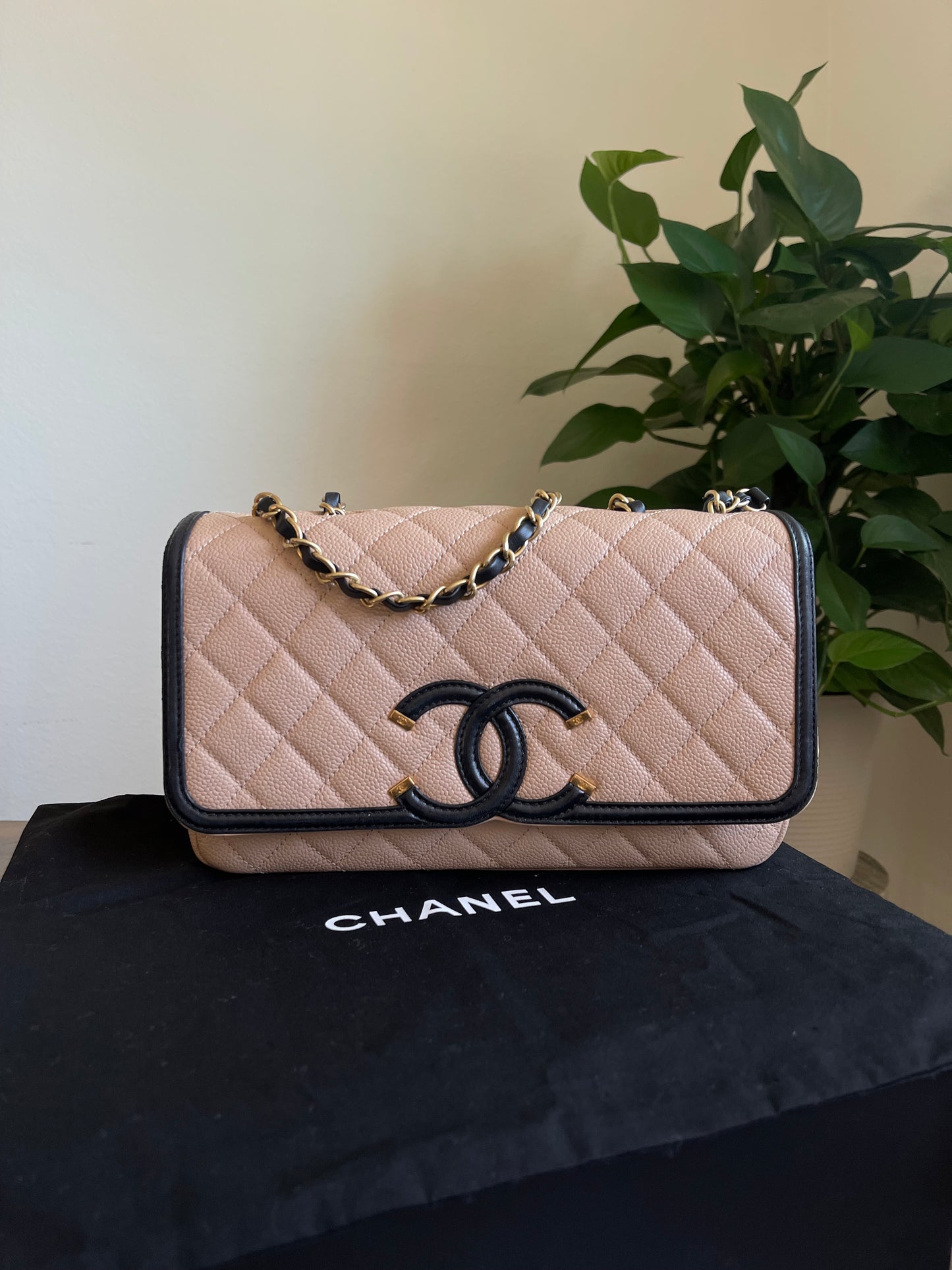 CHANEL