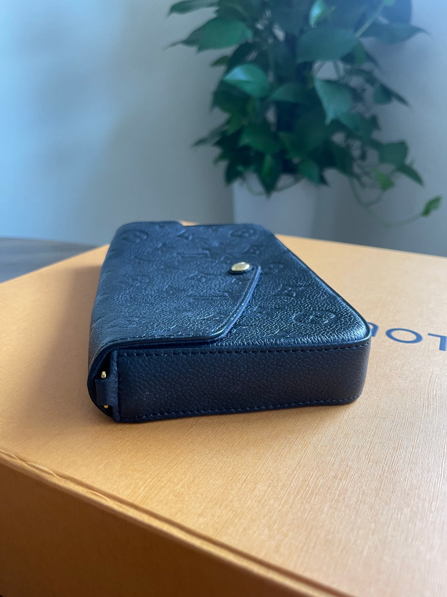 BLACK LOUIS VUITTON FELICIE ONE MISSING INSERT