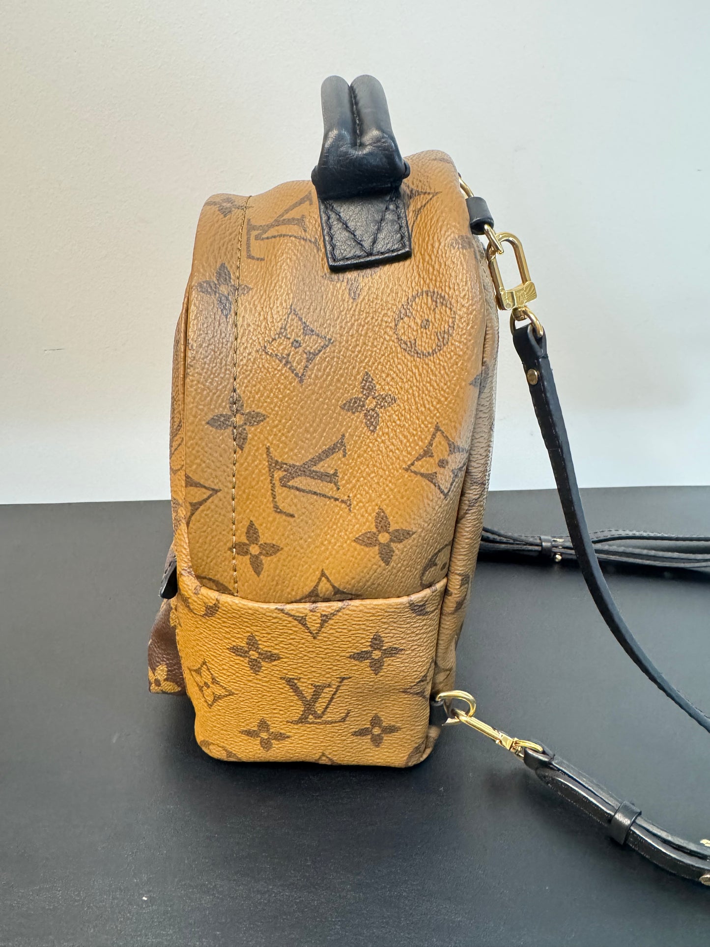 PALM SPRINGS MINI REVERSE MONOGRAM