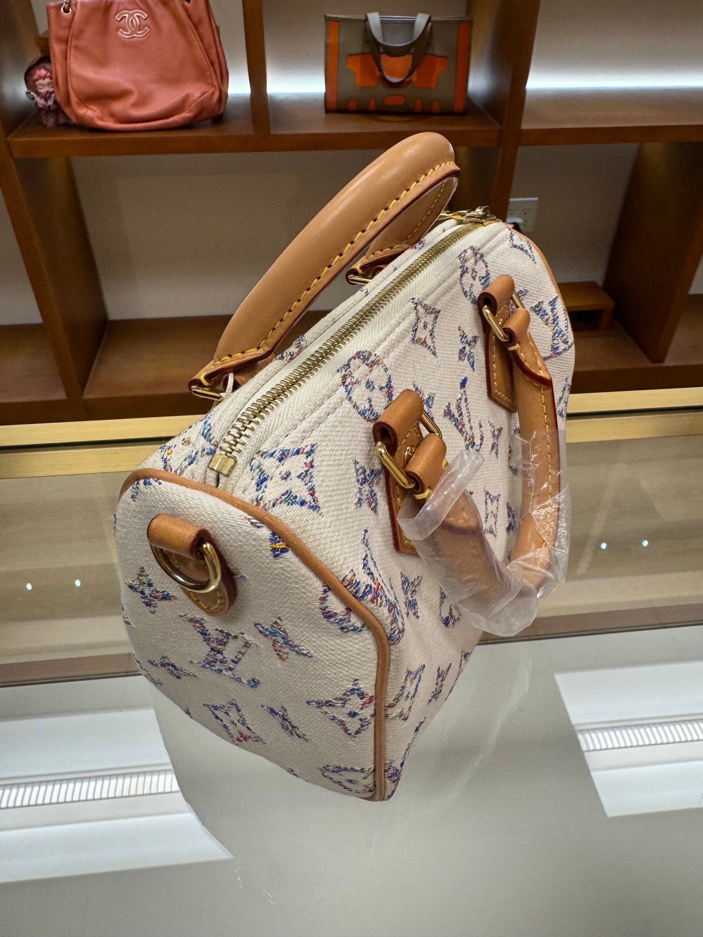 Louis Vuitton Speedy 20