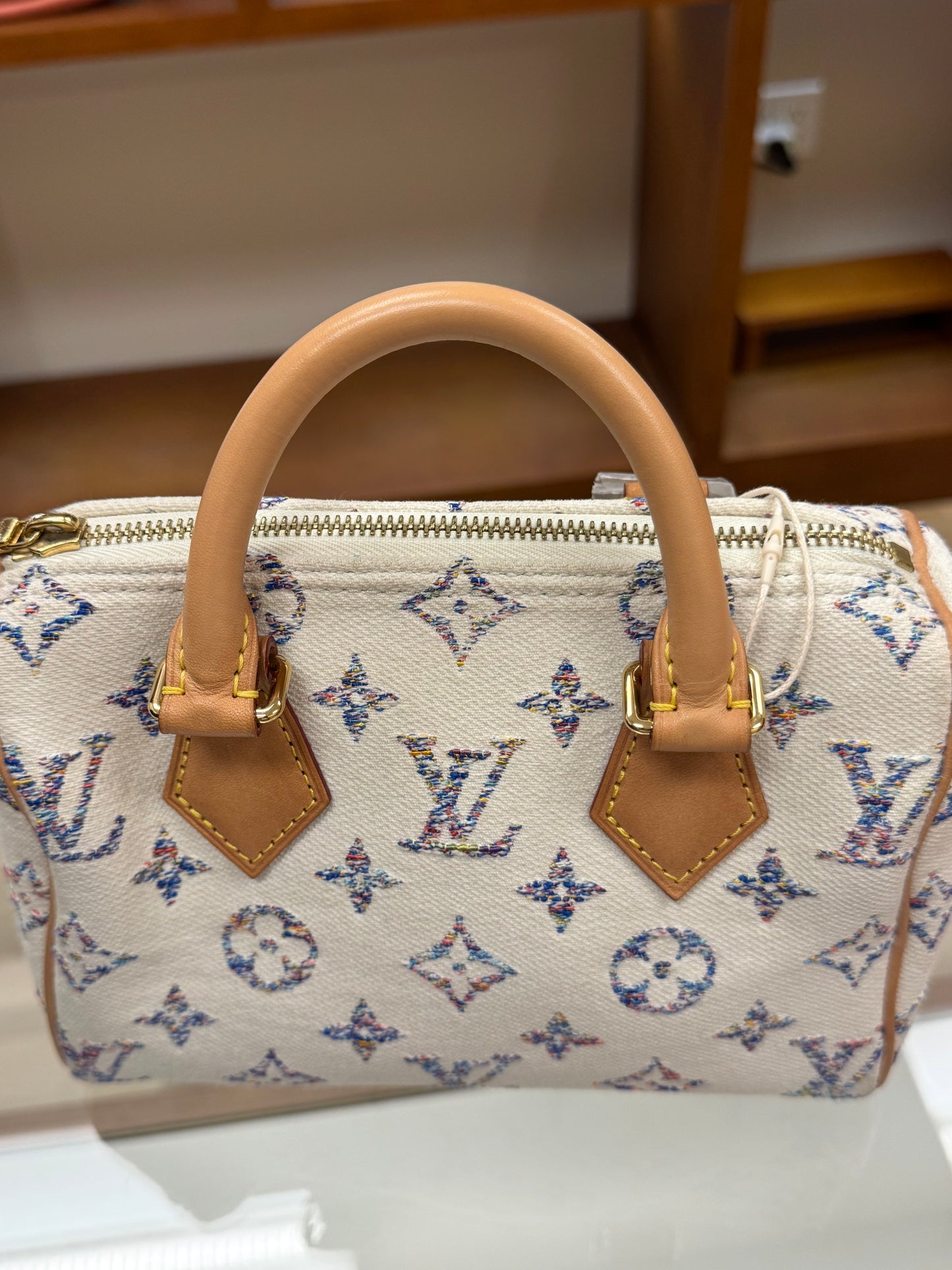 Louis Vuitton Speedy 20