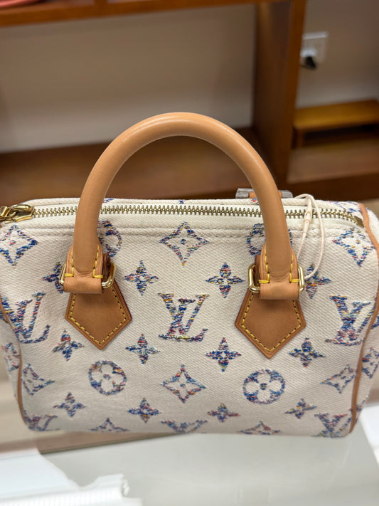 Louis Vuitton Speedy 20