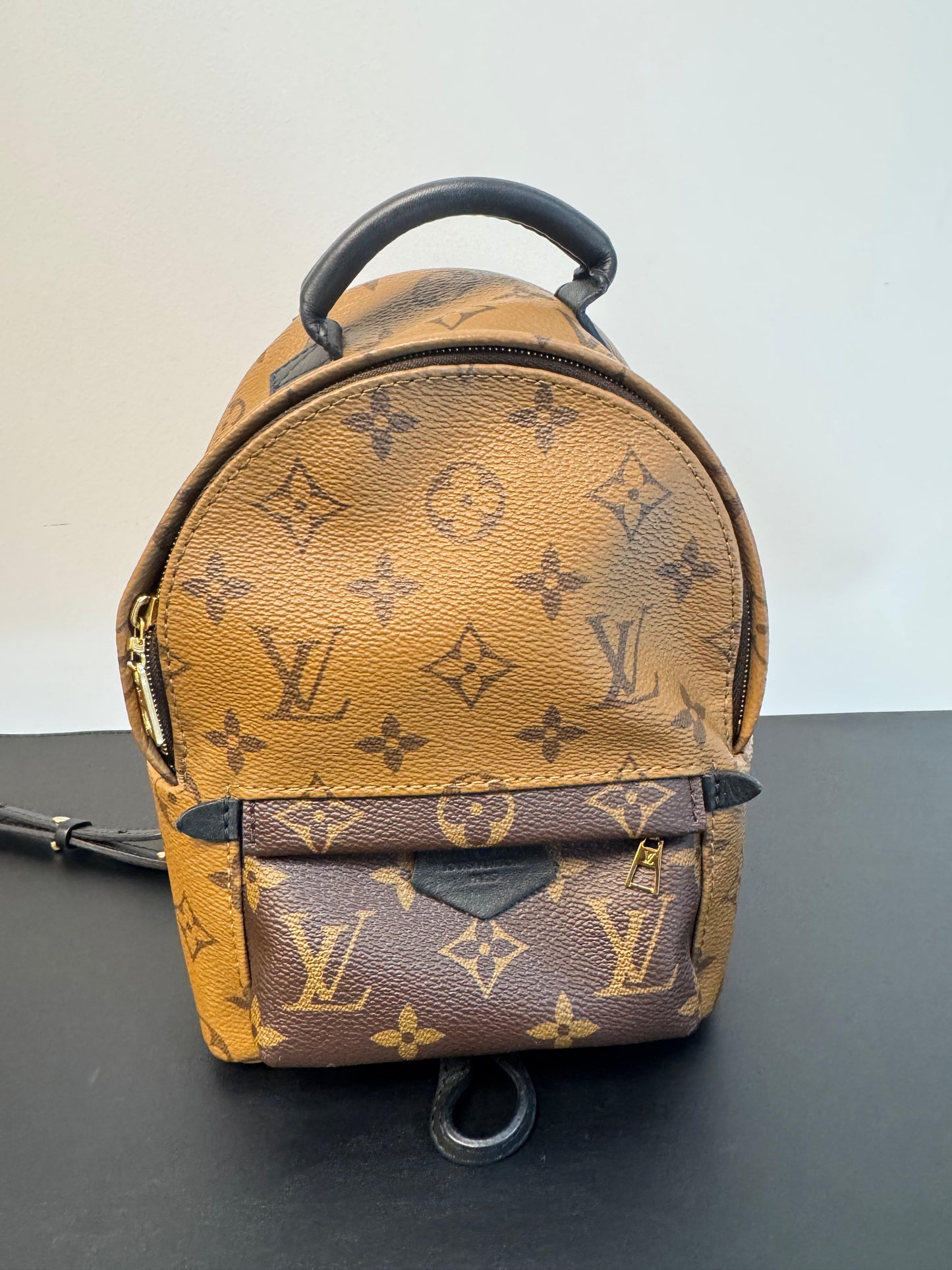 PALM SPRINGS MINI REVERSE MONOGRAM