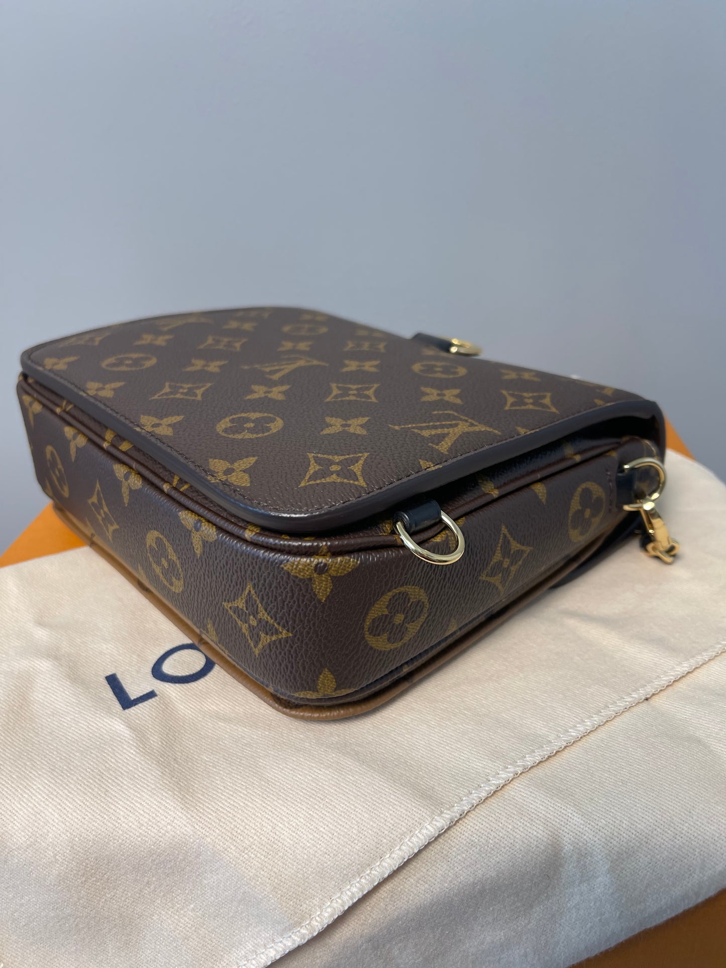 LOUIS VUITTON REVERSE MONOGRAM BACKPACK