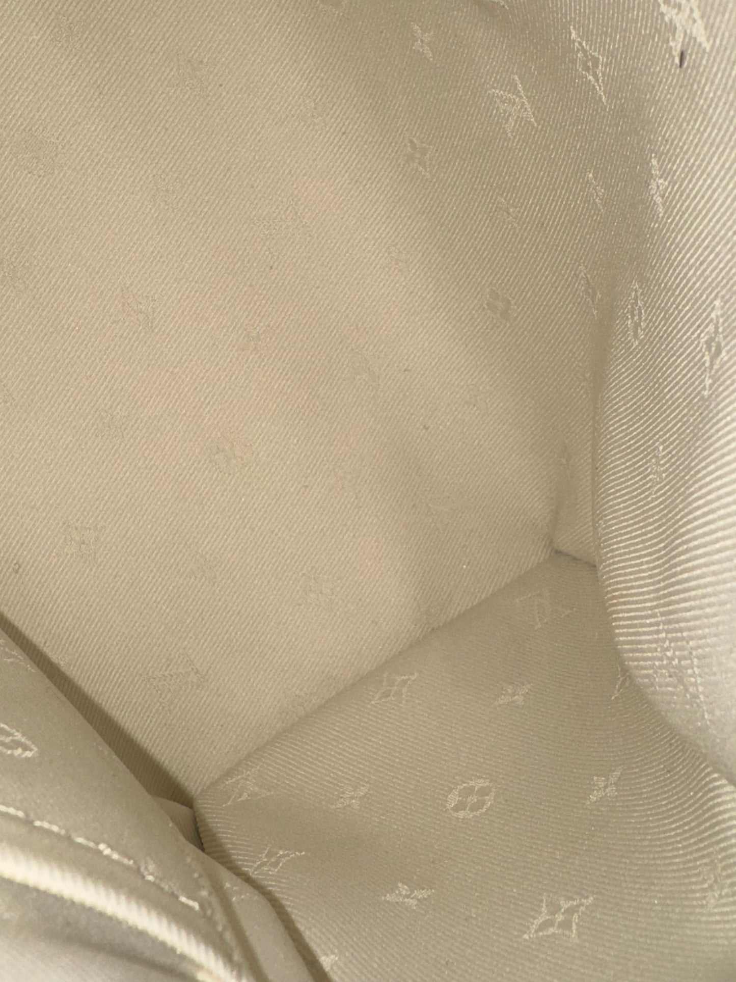 Louis Vuitton Speedy 20