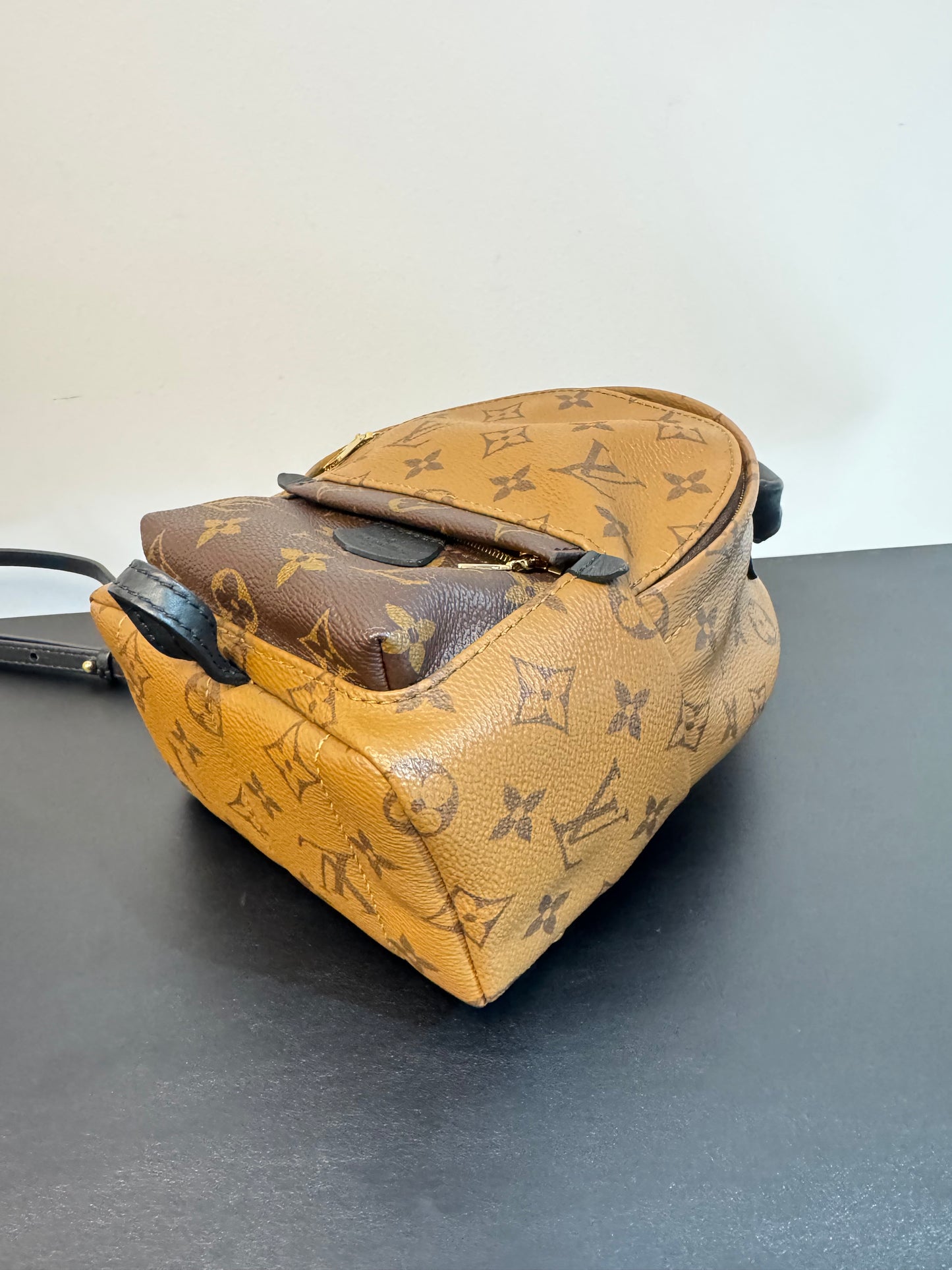 PALM SPRINGS MINI REVERSE MONOGRAM