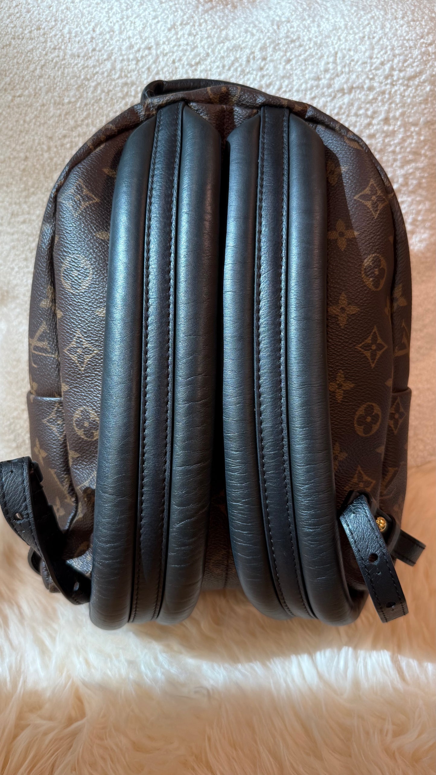 Louis Vuitton Palm Springs PM